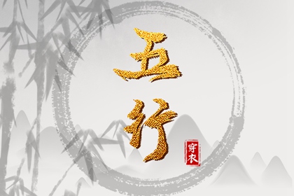 男双胞胎取名|起名社免费起名|名人五行起名|测八字起名字|男孩叶取名字