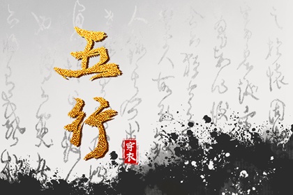 男双胞胎取名|起名社免费起名|名人五行起名|测八字起名字|男孩叶取名字
