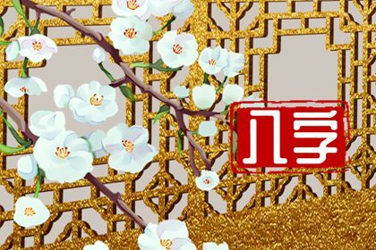紫微抖数排盘 解命盘免费 命命盘