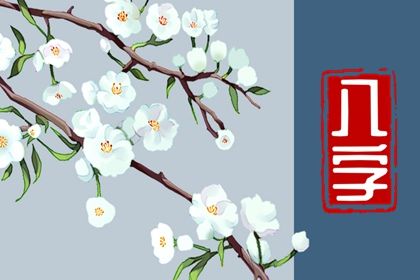 阴阳五行:八字的底层语法
