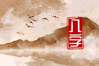 排盘报告阅读顺序