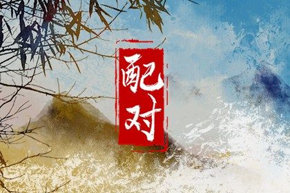 紫微抖数排盘 解命盘免费 命命盘