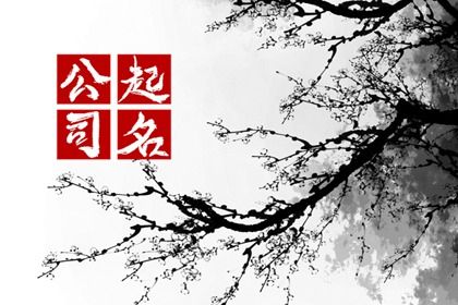 取名为什么要看读音