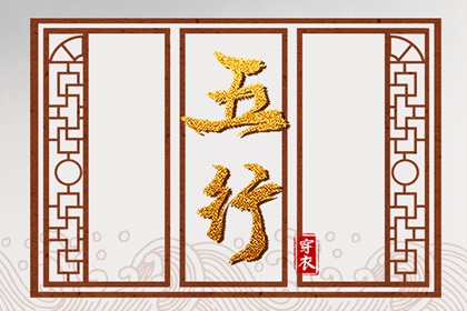 紫微抖数排盘 解命盘免费 命命盘
